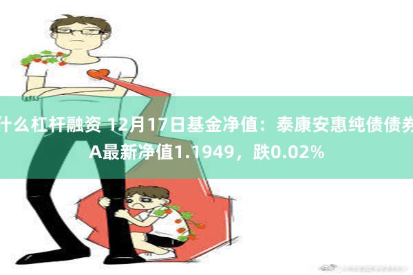 什么杠杆融资 12月17日基金净值：泰康安惠纯债债券A最新净值1.1949，跌0.02%